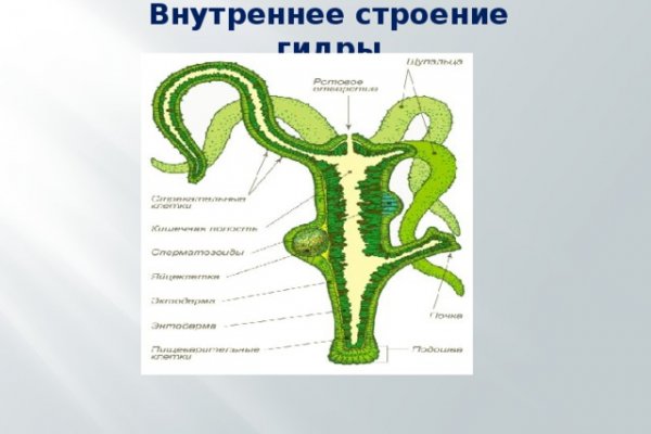 Короткая ссылка на кракен