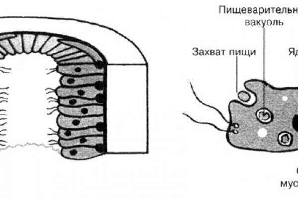 Рабочее зеркало кракен store