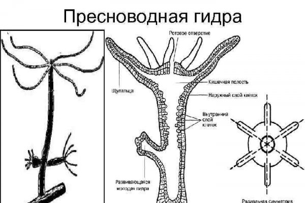 Кракен даркнет актуальная ссылка